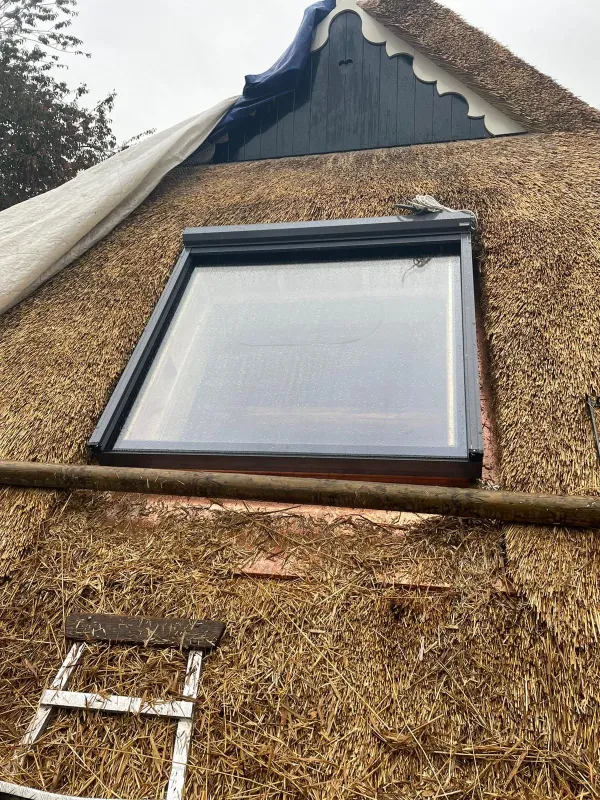 Noordlaren topblind L